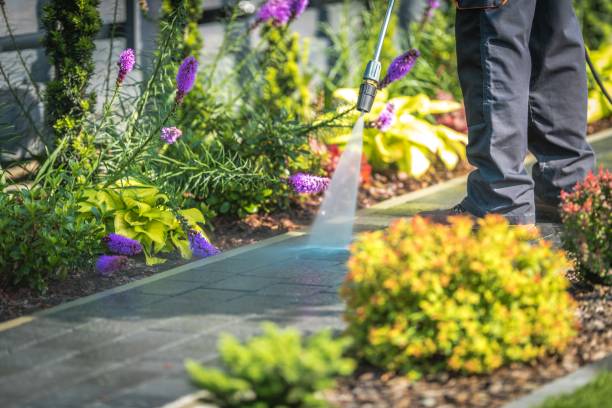 Best Fence Cleaning  in Laguna Hills, CA